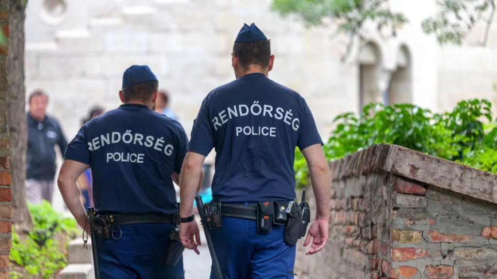 Szabálysértési jog