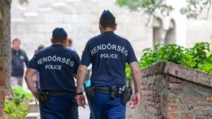 Szabálysértési jog